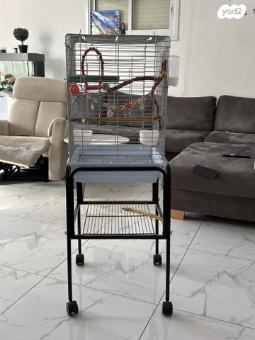 תמונת מודעה - חיות מחמד