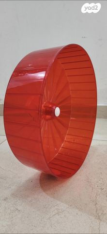 תמונת מודעה - חיות מחמד