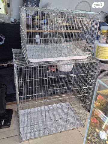 תמונת מודעה - חיות מחמד