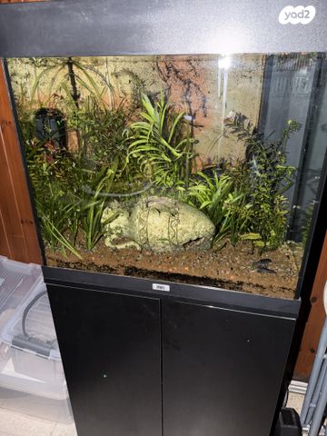 אביזרים | אקווריום