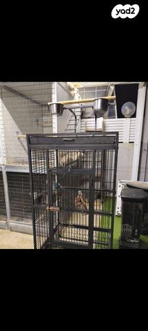 אביזרים | כלוב