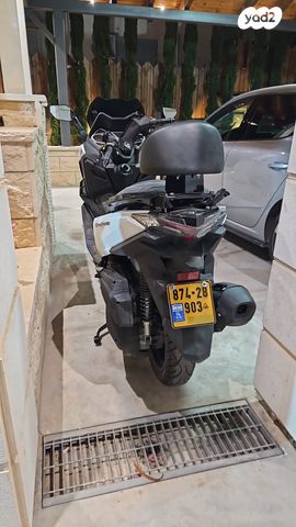 סאן יאנג קרוזים 300 אלפא