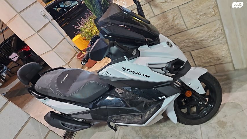 סאן יאנג קרוזים 300 אלפא