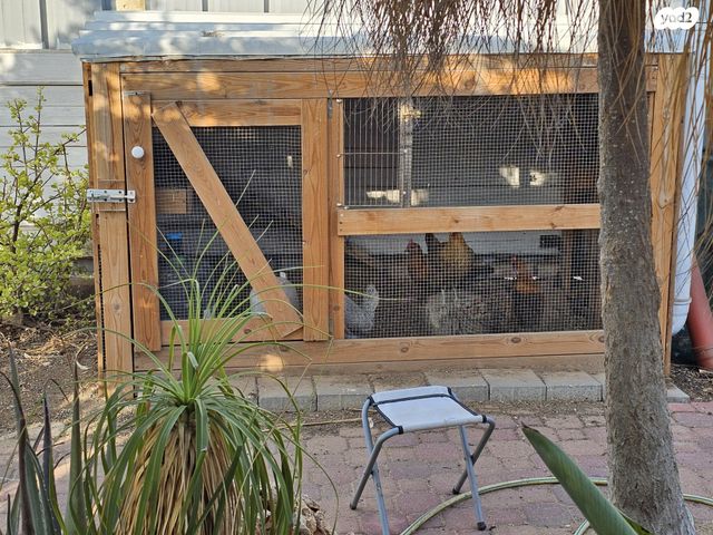 דו משפחתי, צבי 7, נעורים, ערד