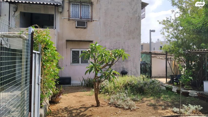 רינגלבלום 18