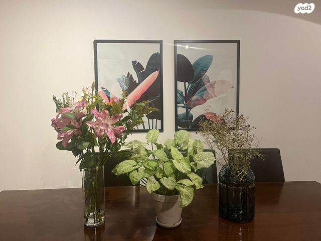 דירה, בני ישראל 19, המעיינות, שחמון, רובע 8, אילת