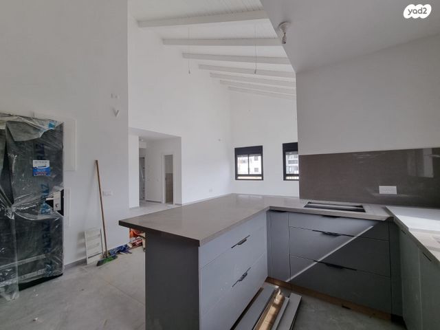 גג/ פנטהאוז, האשל 42, בית אריה / עופרים, בית אריה / עופרים