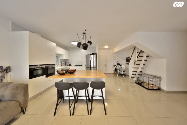 יהודה הלוי 24