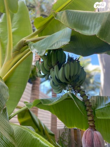 דו משפחתי, שלו 23, גבעת הסביונים, קרית מלאכי
