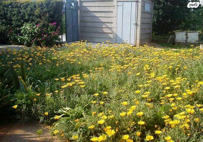 דו משפחתי, רינגלבלום 18, קרית שלום, תל אביב יפו