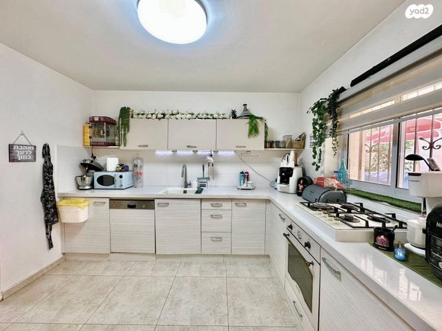 דו משפחתי, צבי 7, נעורים, ערד