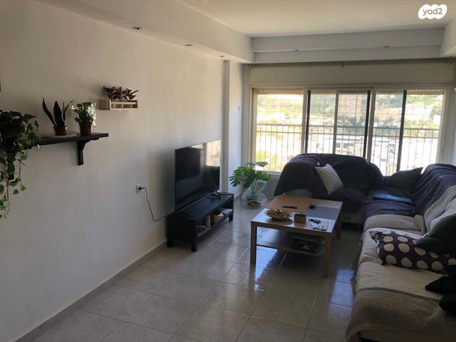 דרך יד לבנים 206