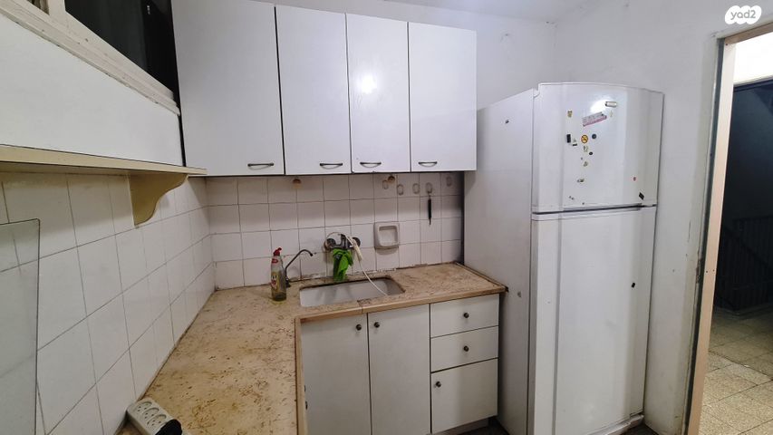 דוד אלרואי 19