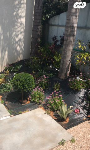 בית פרטי/ קוטג', תמר 9, אורות, אור עקיבא