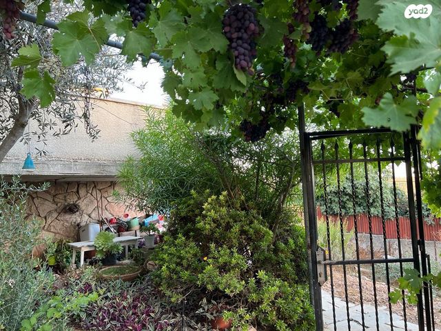 דירת גן, השושן 1, אבו גוש, אבו גוש