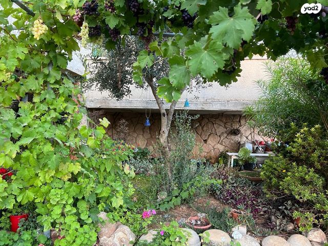 דירת גן, השושן 1, אבו גוש, אבו גוש