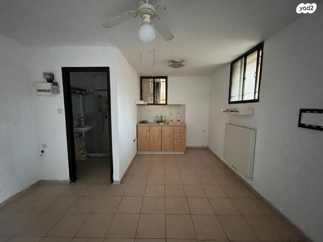 אלכסנדריון 15