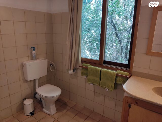 דירת גן, 8925 1, אבירים, אבירים