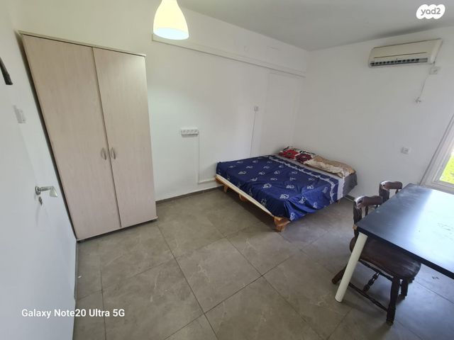 דירה, עמוס, בן דור, נשר