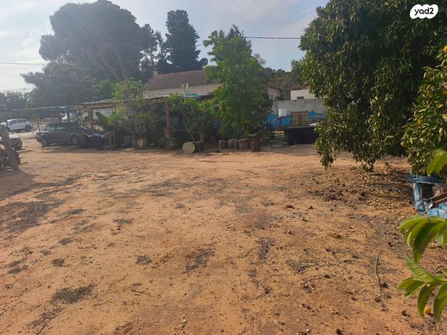 מגרשים, תל ימת כרכור, פרדס חנה כרכור