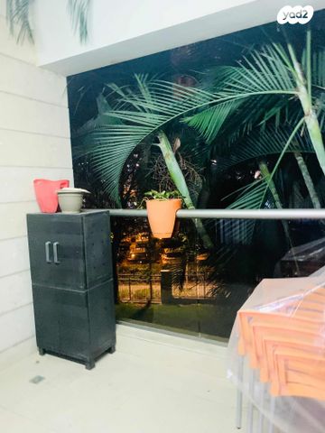 דירה, משה סנה, הדר המושבות החדשה / אם המושבות החדשה, פתח תקווה