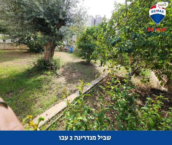 דירה, המנדרינה, אברהם דנינו, בן גוריון, עכו