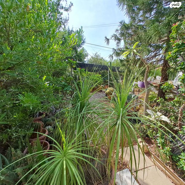 בית פרטי/ קוטג', משואה, מעלה אפרים