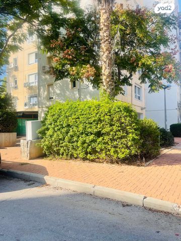 דירה, התלמוד, כוכב הצפון, אשקלון