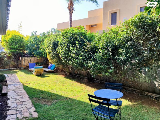 דו משפחתי, צופים, צופים