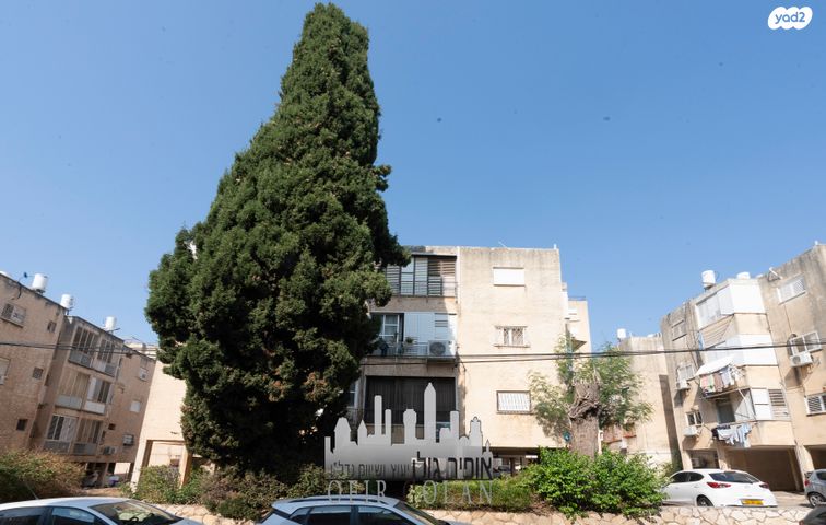 דירה, הרצליה