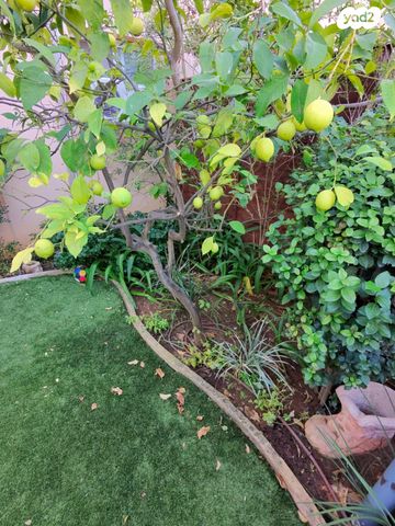 דירת גן, צוותא ב, אלפי מנשה