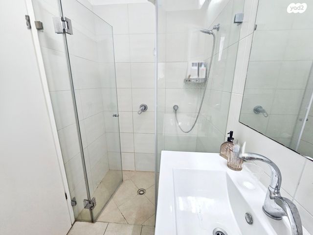 גג/ פנטהאוז, דובה ויצחק שיינפיין, כפר סבא הירוקה, כפר סבא