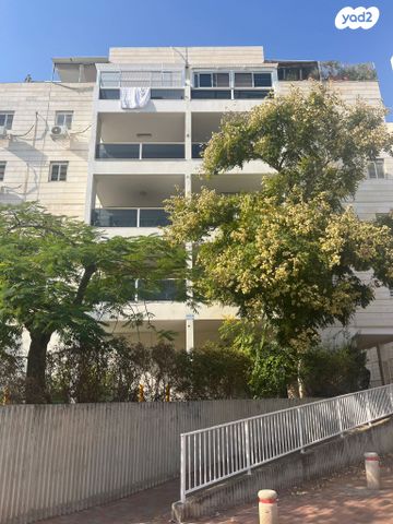 יואב בן צרויה 