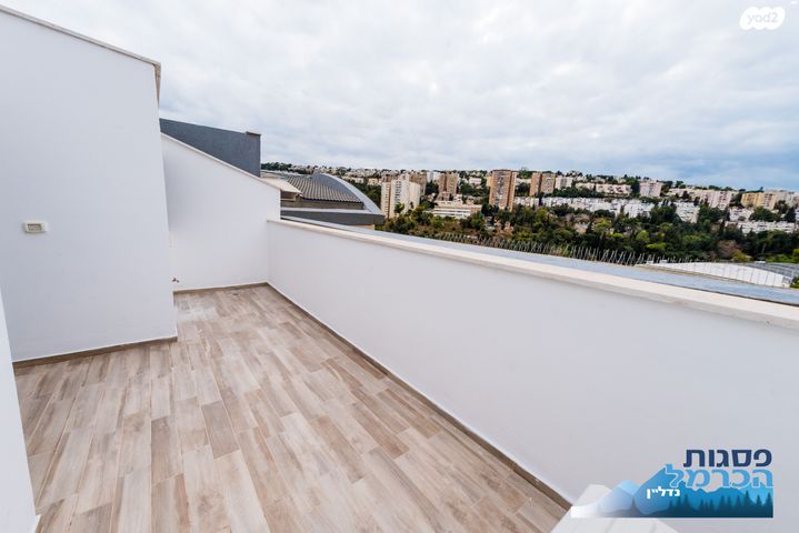 גג/ פנטהאוז, פלמ"ח, חיפה