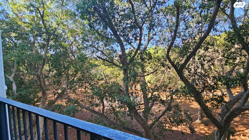 דירה, בארט, תל אביב יפו