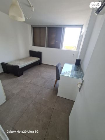 דירה, עמוס, בן דור, נשר