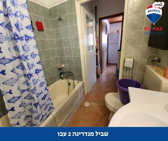 דירה, המנדרינה, אברהם דנינו, בן גוריון, עכו