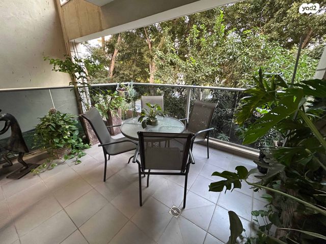 דירה, מרכז, כפר סבא