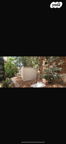 ציפורה זייד 3