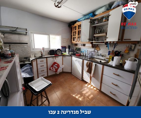 דירה, המנדרינה, אברהם דנינו, בן גוריון, עכו