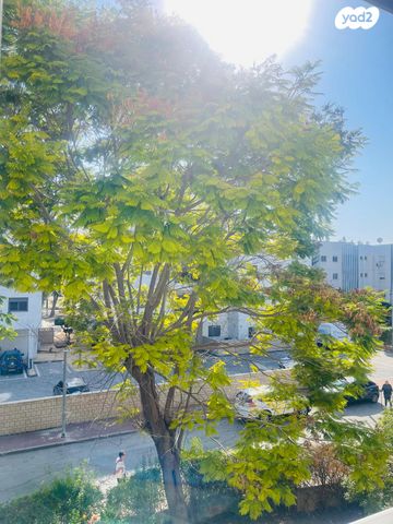 דירה, התלמוד, כוכב הצפון, אשקלון