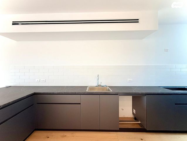 גג/ פנטהאוז, נתן אלתרמן, הרצליה