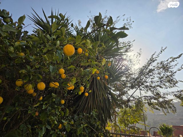 דירת גן, רפאל דה לה פרגולה, גילה, ירושלים