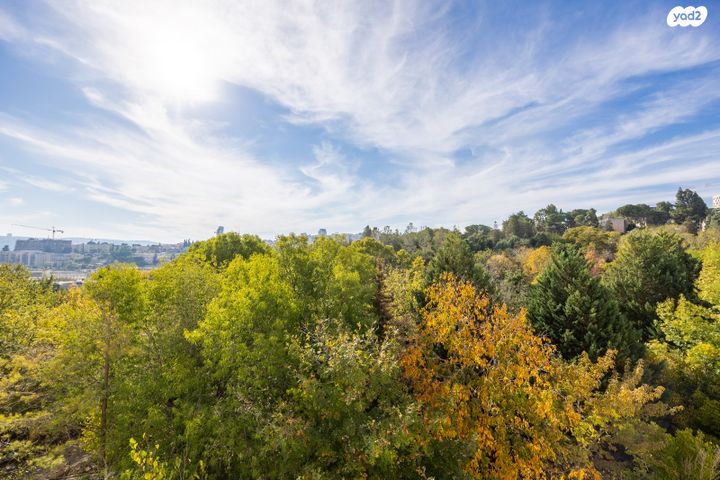 דירה, יהודה בורלא, ניות, ירושלים