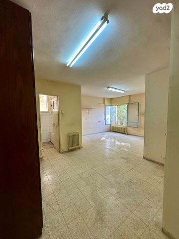 דירה, דב גרונר, ארמון הנציב, תלפיות מזרח, ירושלים