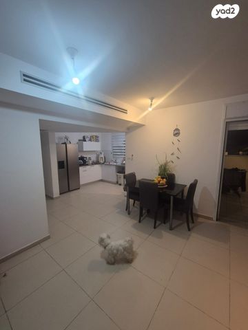 דירה, ריה"ל, אירוס, ירוחם