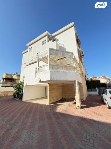 ראול ולנברג 