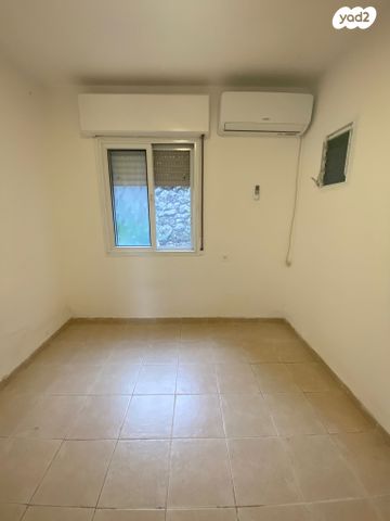 זלמן שניאור 