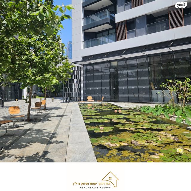 דירה, תל אביב יפו