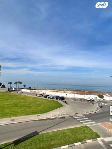 שמחה הולצברג 2